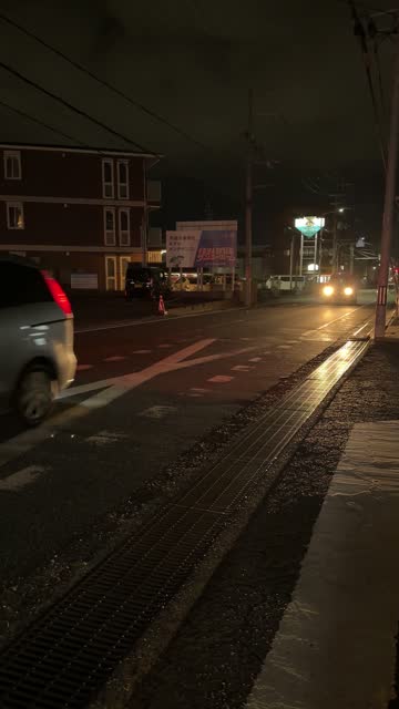 入力した写真5